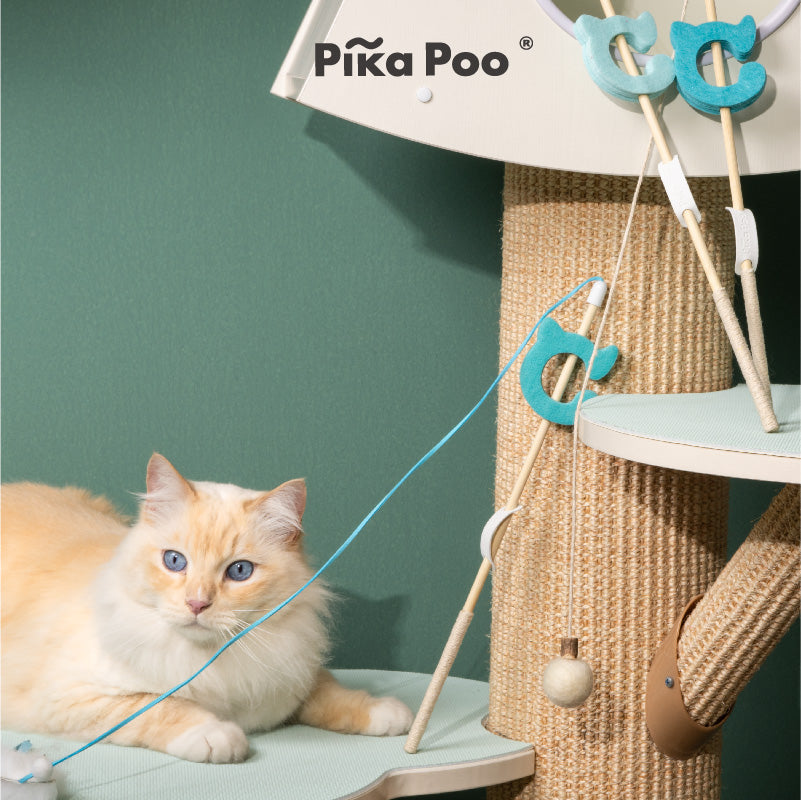 Cat teaser - The Mouse Trap