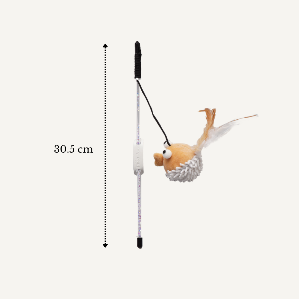 Cat teaser - Globefish