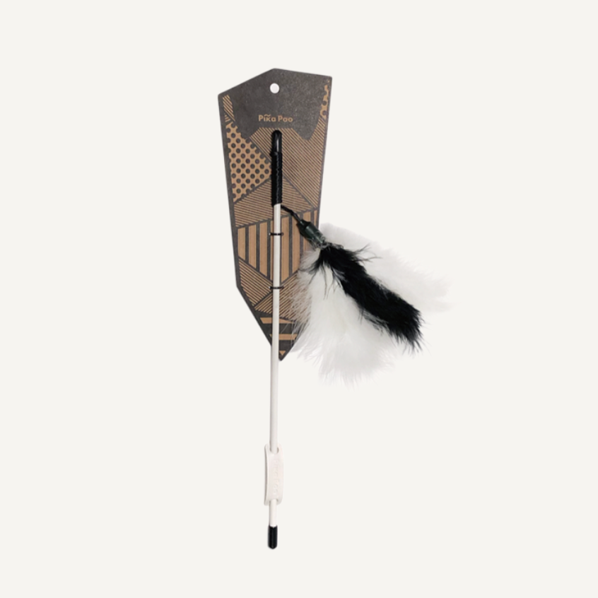 Cat teaser - Dream catcher