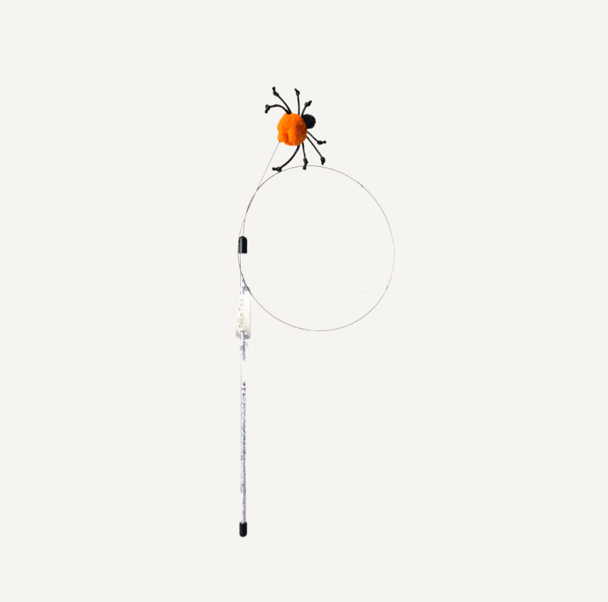 Cat teaser - Spider
