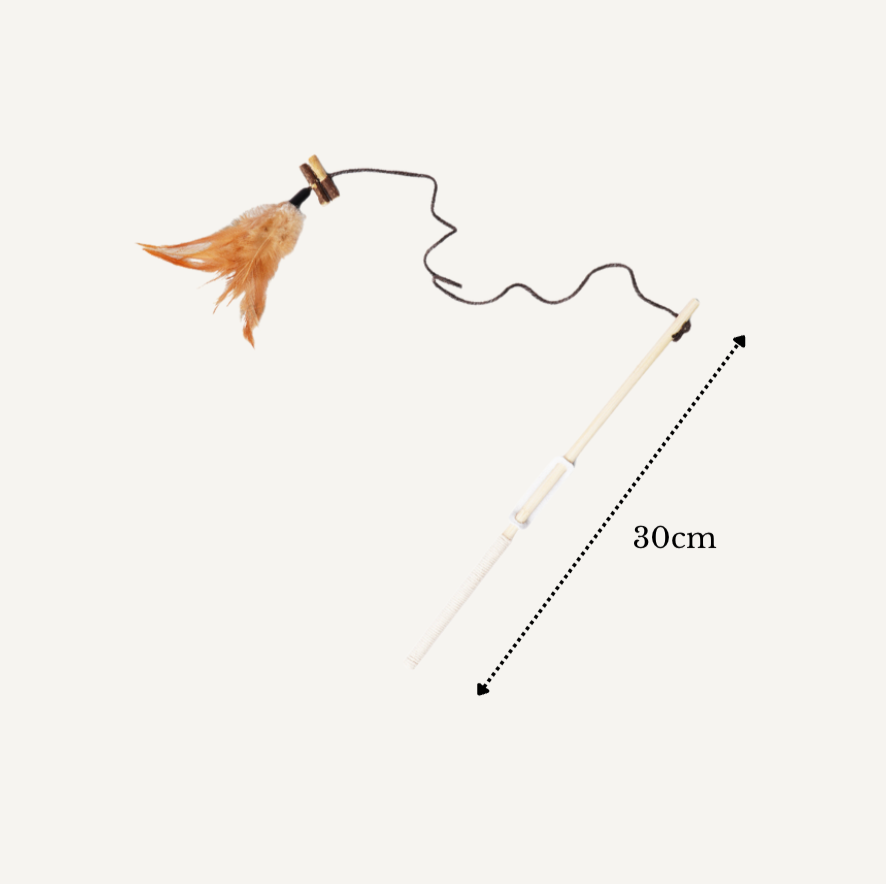 Cat teaser - feather magic stick