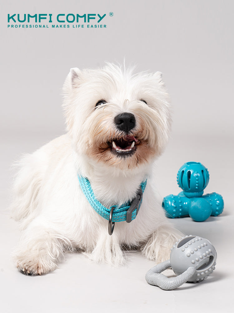 Dog toy - kettlebells