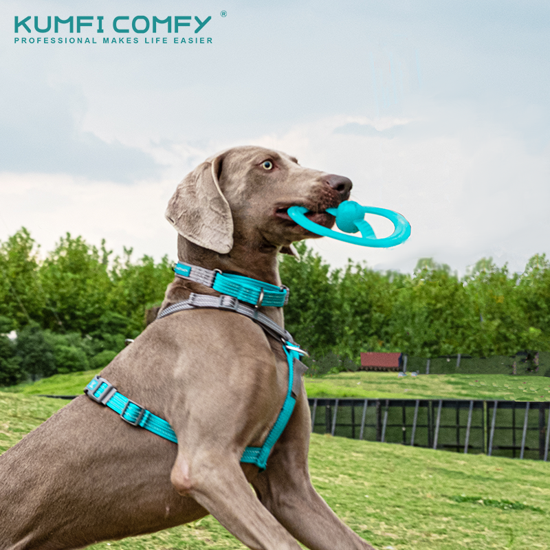 Interactive dog toy - Frisbee