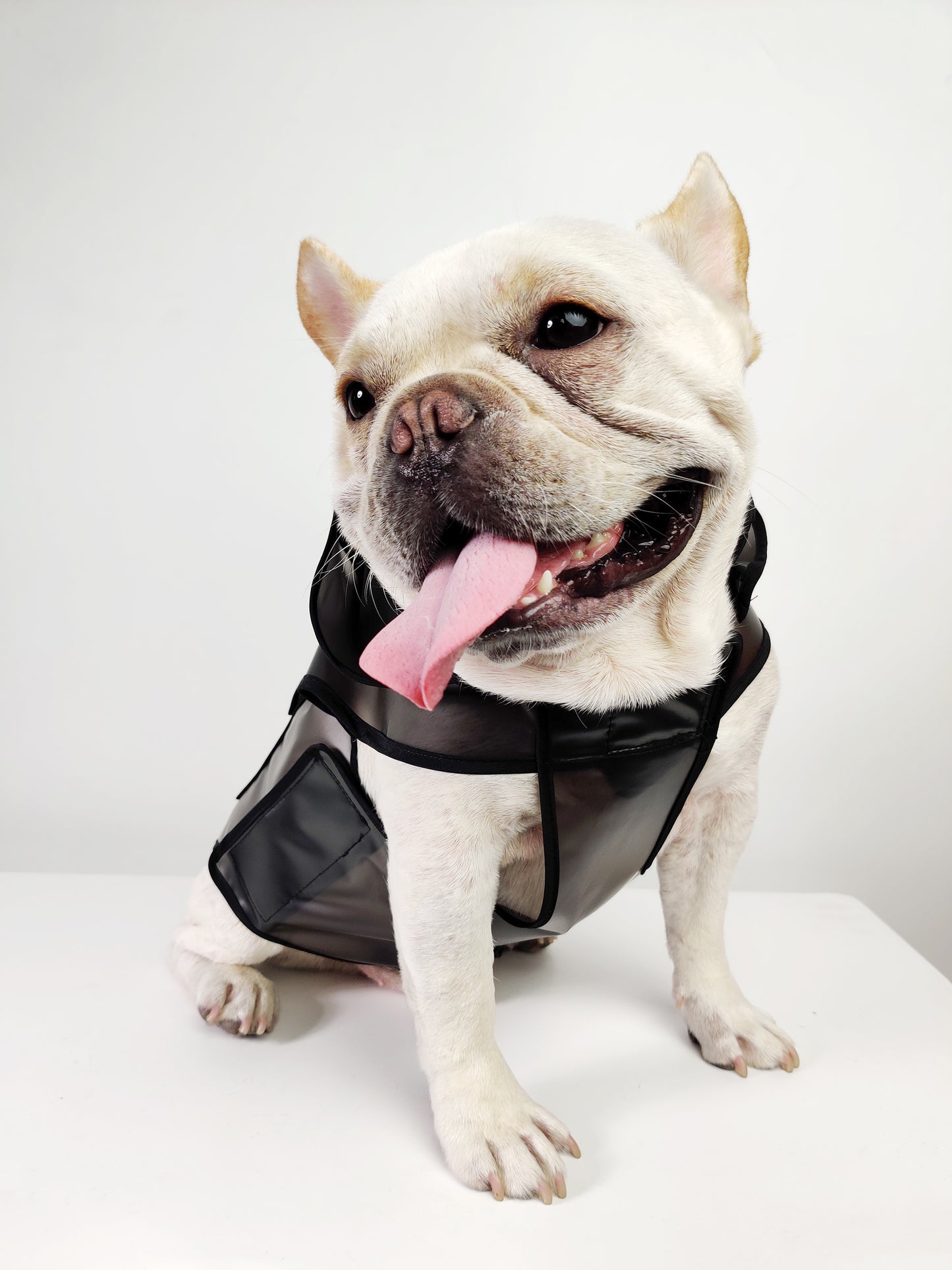 Dog Rain coat - Transparent black