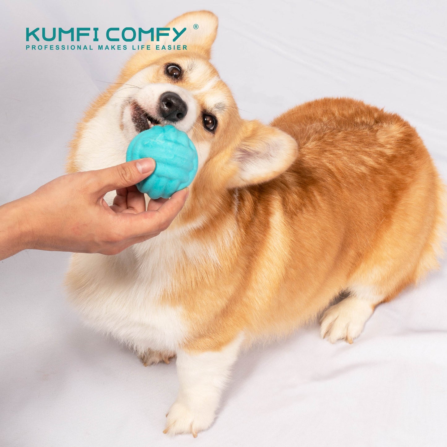 Dog fetching ball set