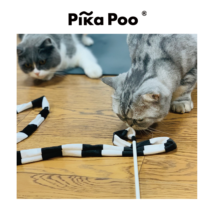 Cat Teaser - ribbon apparatus