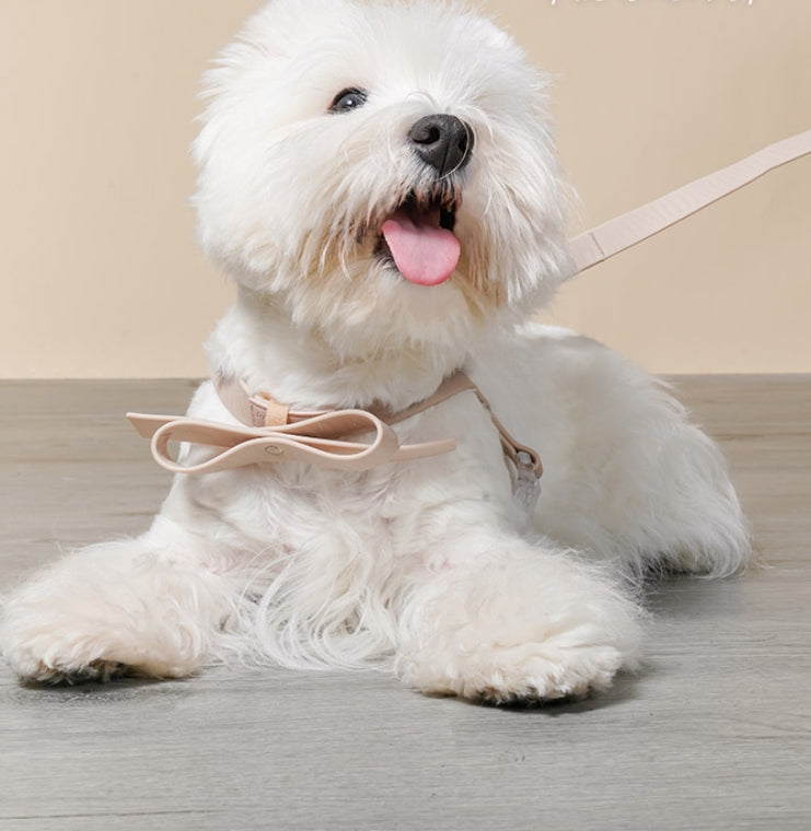 Dog harness - Miranda