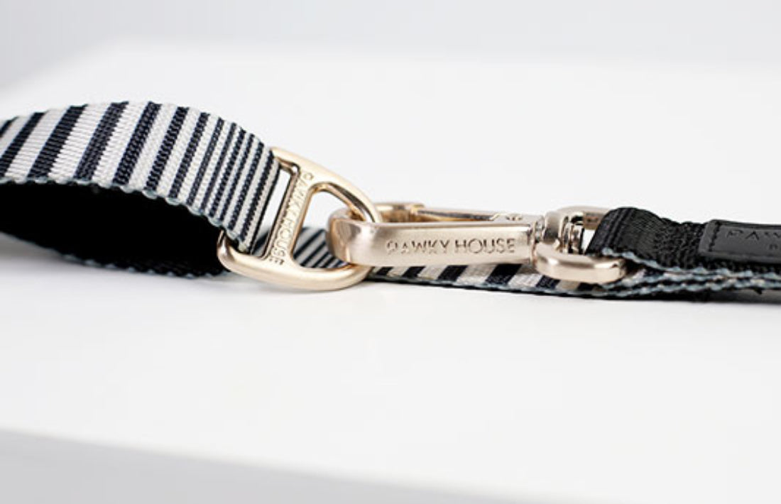Dog Leash - Seine