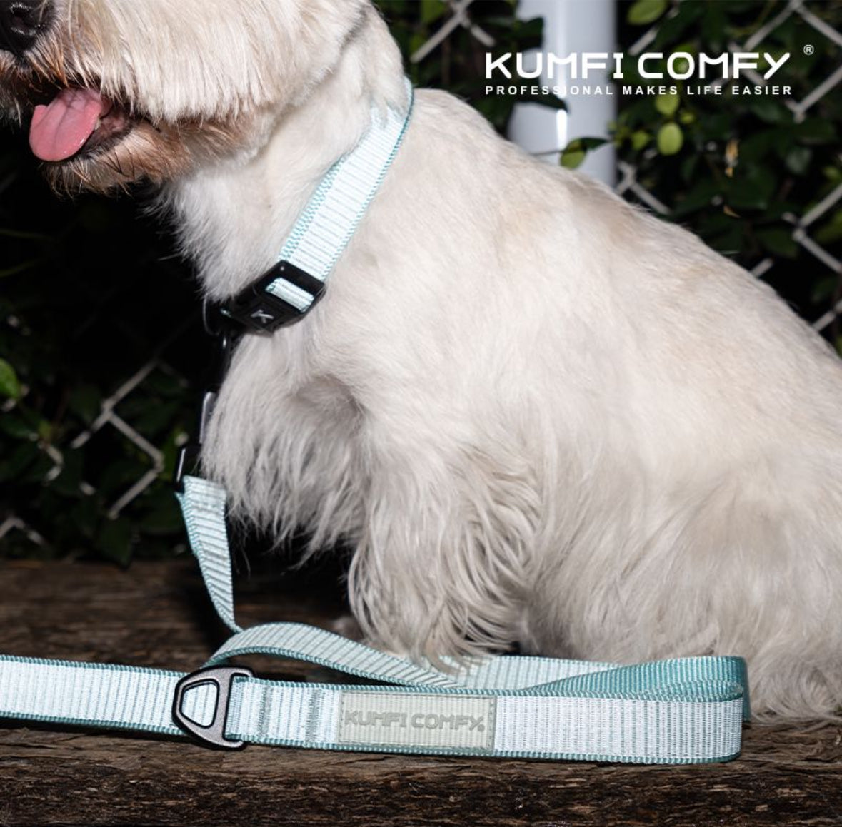 The reflective dog collar - Mint Blue