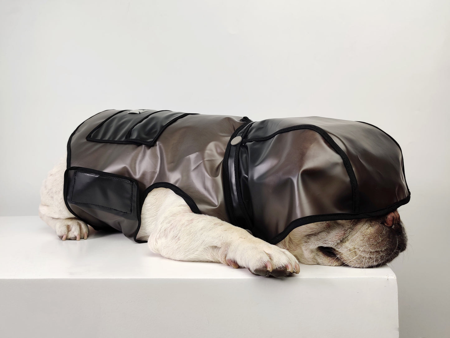 Dog Rain coat - Transparent black