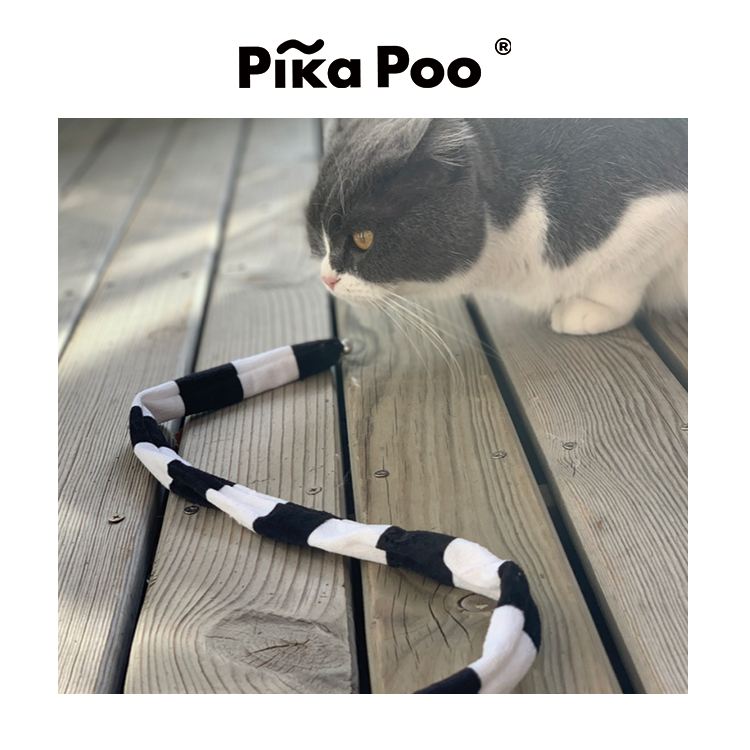 Cat Teaser - ribbon apparatus