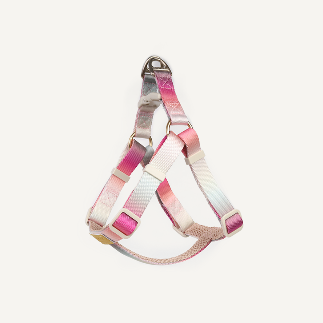 Harness & Leash Set - Cloudy Bay