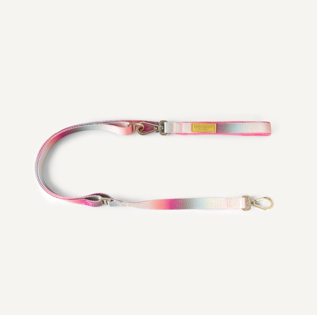 Collar & Leash Set - Cloudy Bay