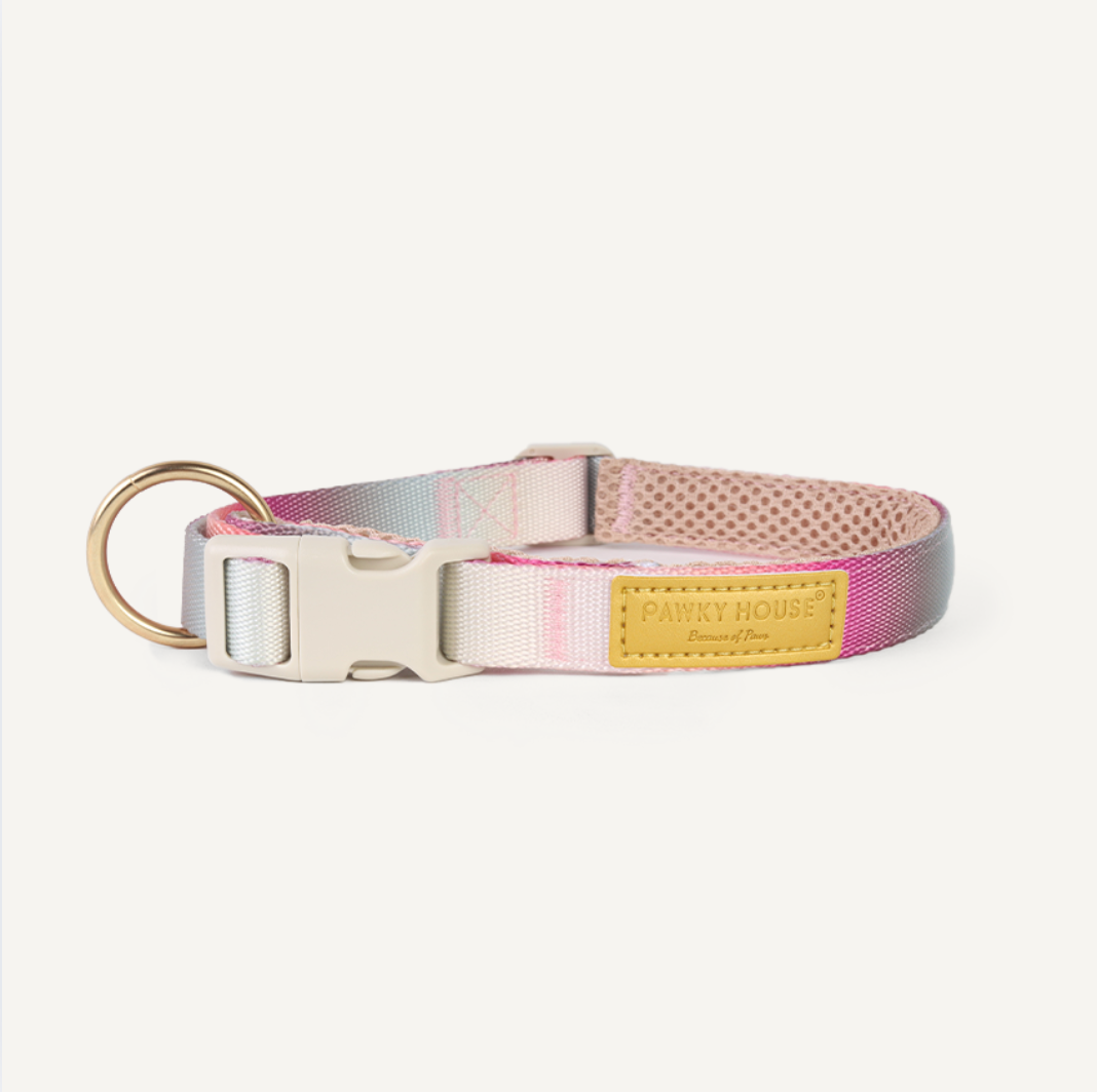 Dog Collar- Cloudy Bay