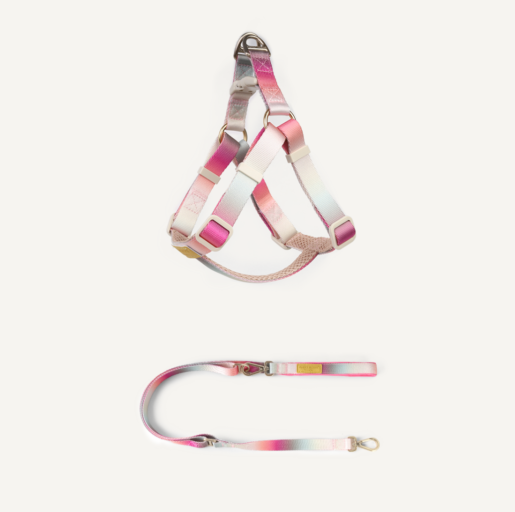 Harness & Leash Set - Cloudy Bay