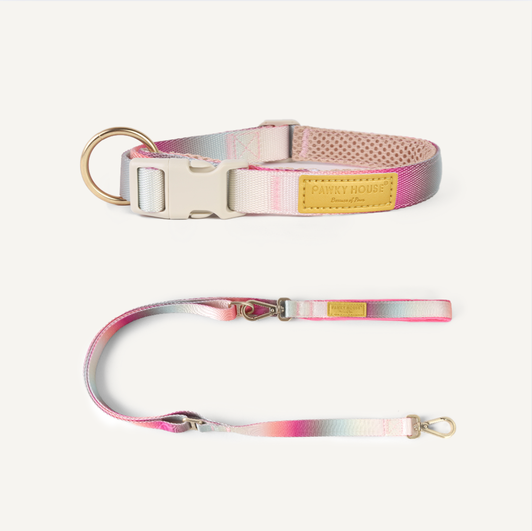 Collar & Leash Set - Cloudy Bay