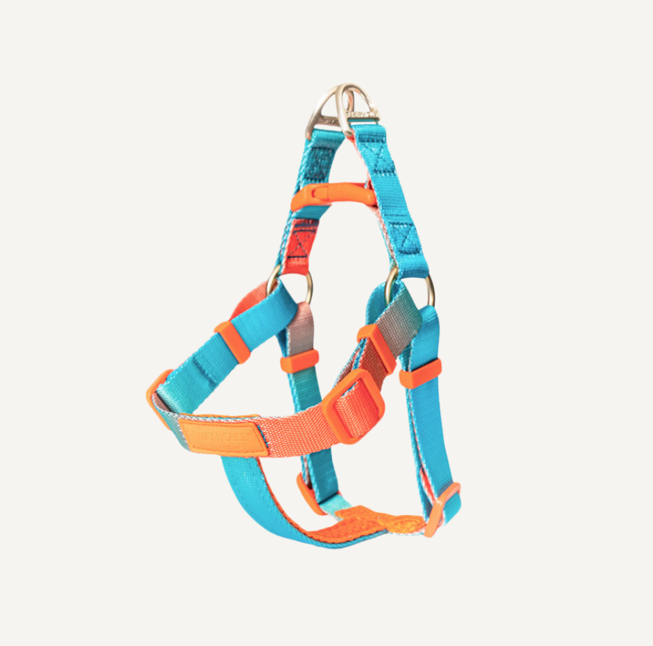 Dog Harness - Aurora