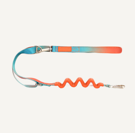 Dog Leash - Aurora