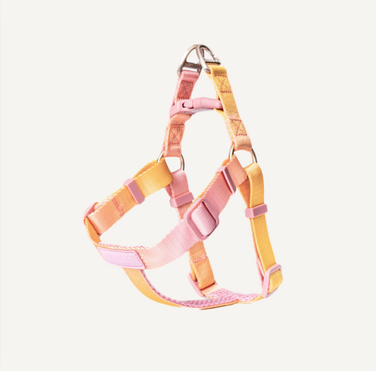 Dog Harness - Blossom