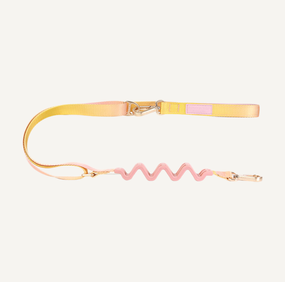 Dog Leash - Blossom