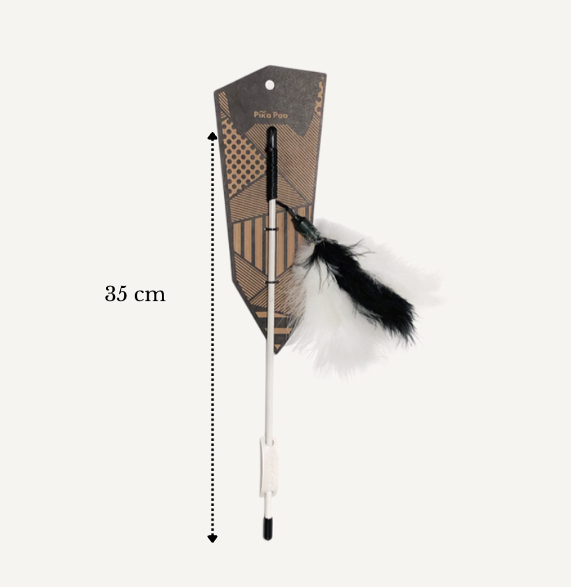 Cat teaser - Dream catcher