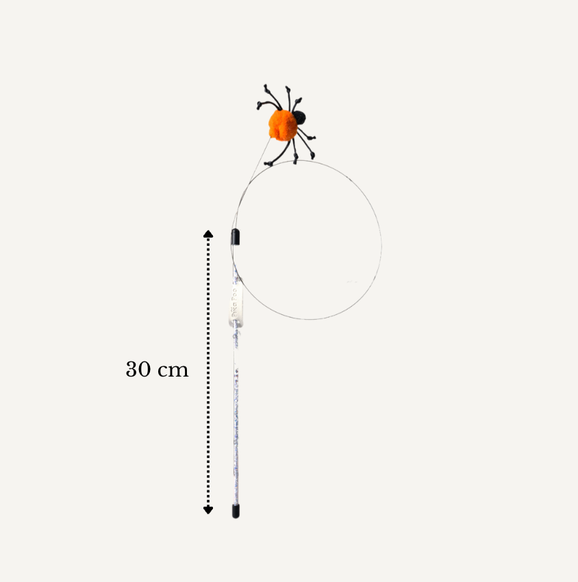 Cat teaser - Spider