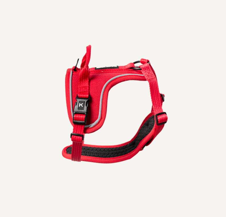 Dog Harness - Kumi Sports (GREEN)