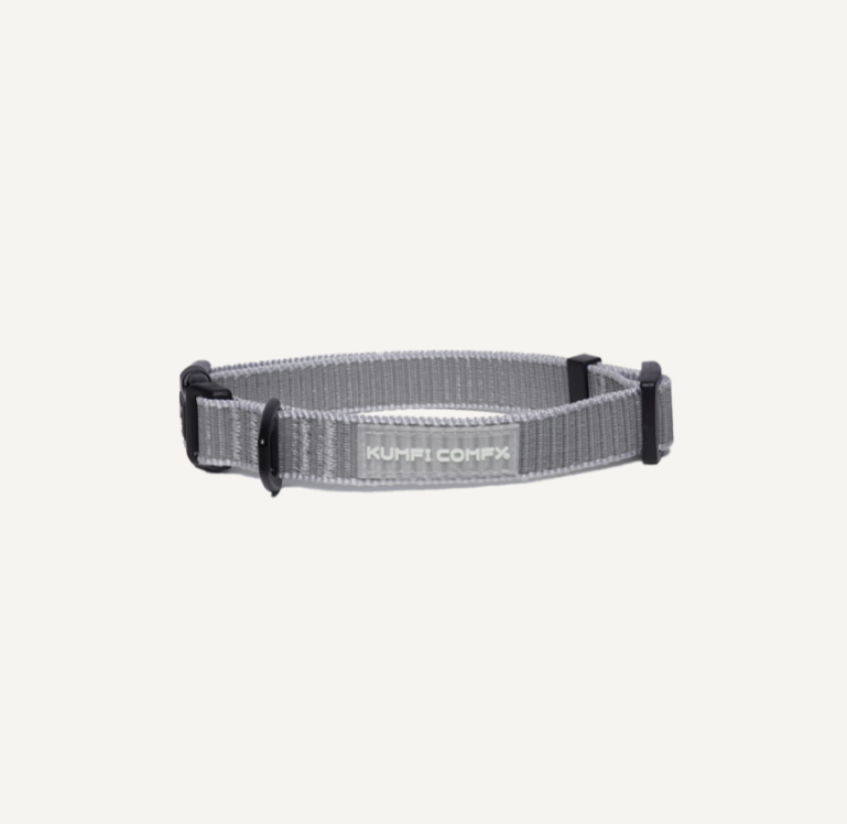 The reflective dog collar - Gray