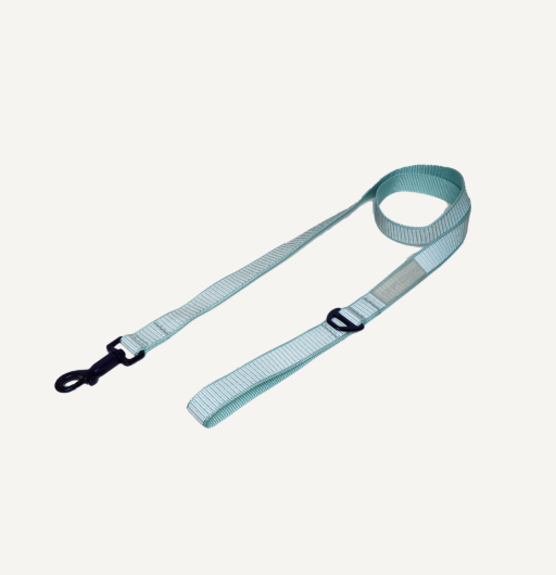The reflective leash - Gray