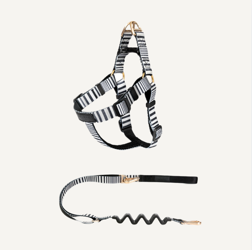 Harness & Leash set - Seine
