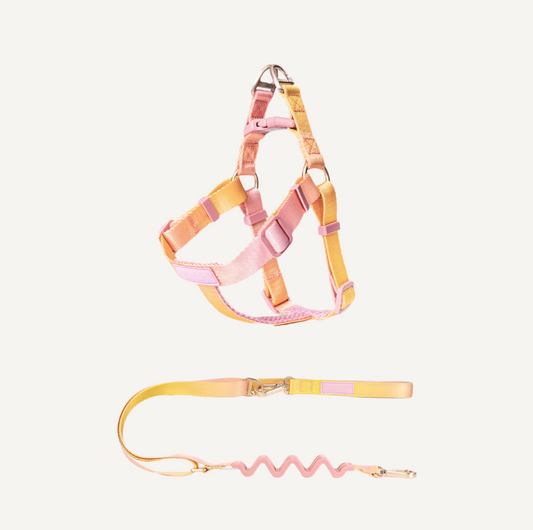 Harness & Leash set - Blossom
