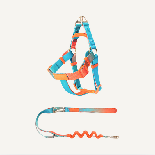 Harness & Leash set - Aurora