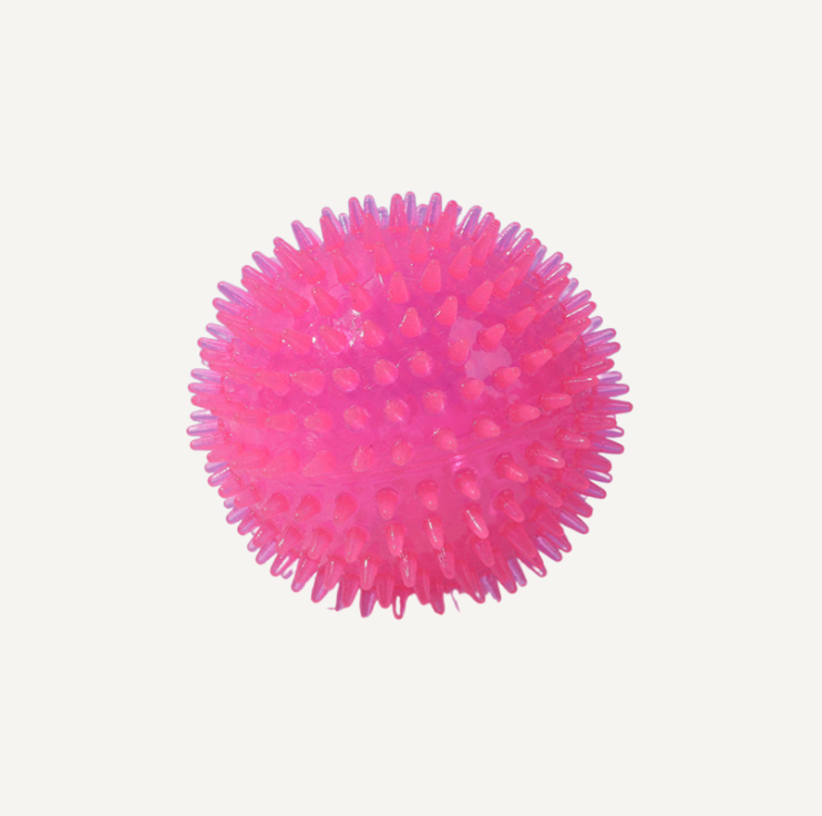 Dog toy - Chewy ball