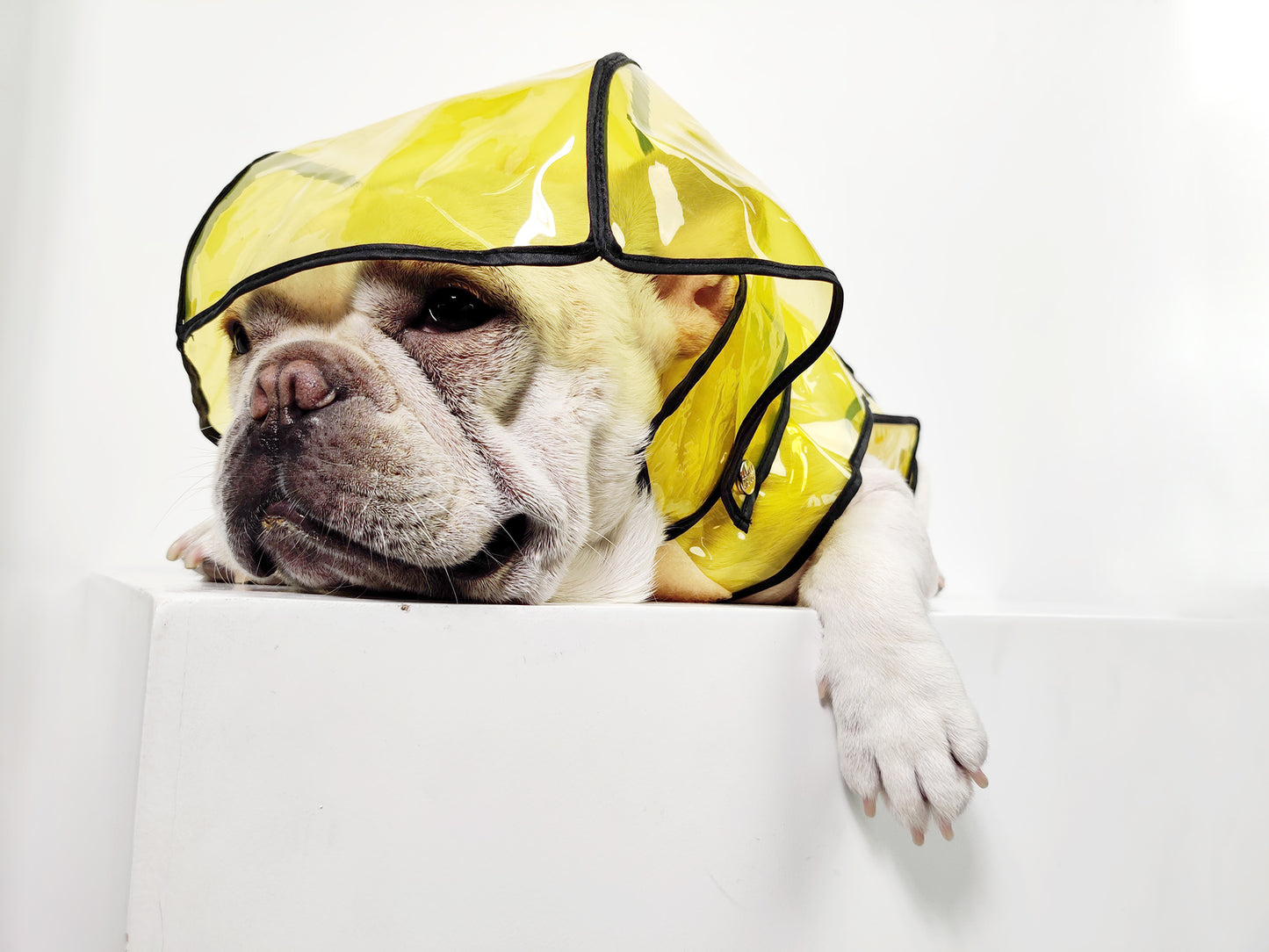 Dog Rain coat - transparent yellow