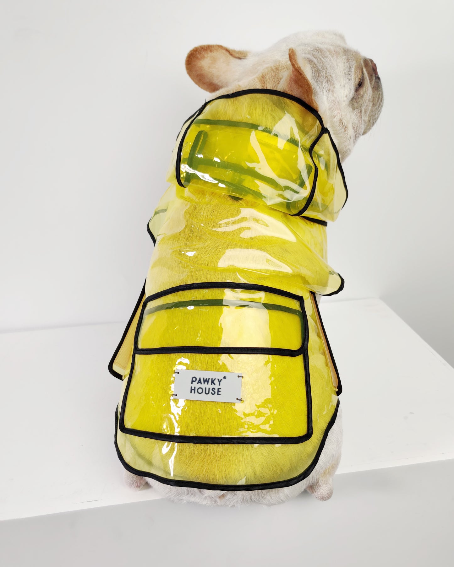 Dog Rain coat - transparent yellow