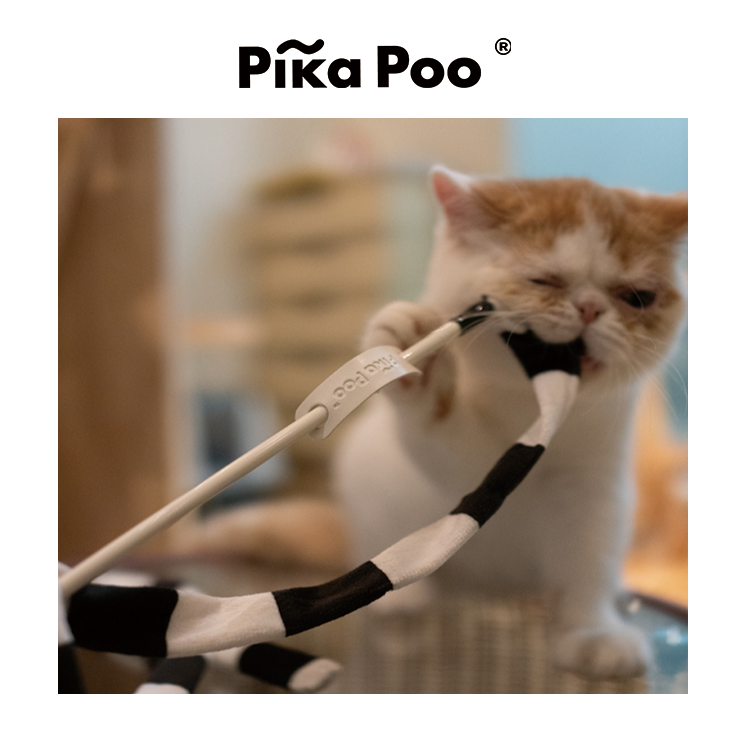 Cat Teaser - ribbon apparatus