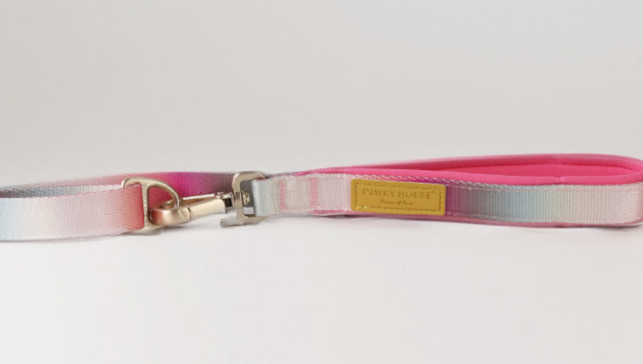 Pawky House Dog Leash - Cloudy Bay