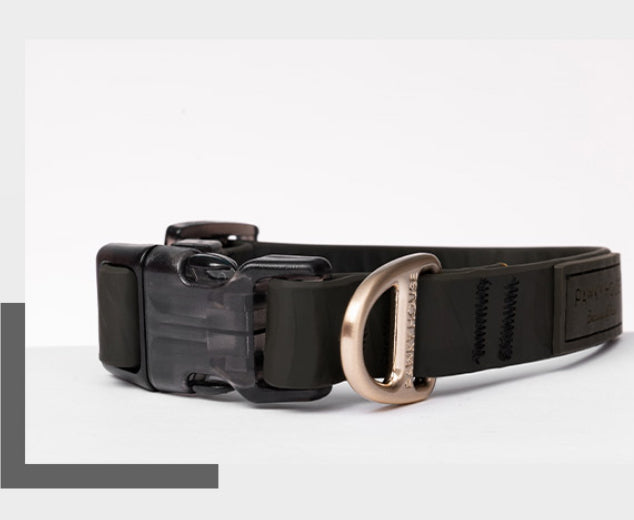 Water Proof Dog Collar - Ken