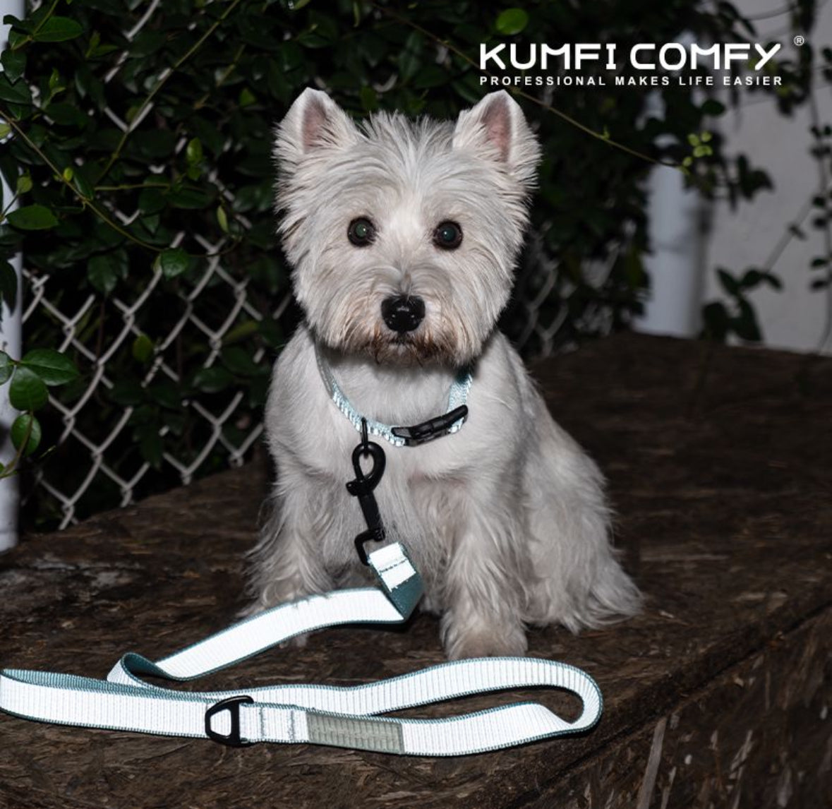 The reflective leash - Mint Blue