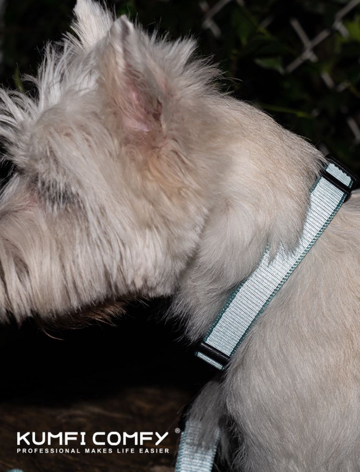 The reflective dog collar - Mint Blue