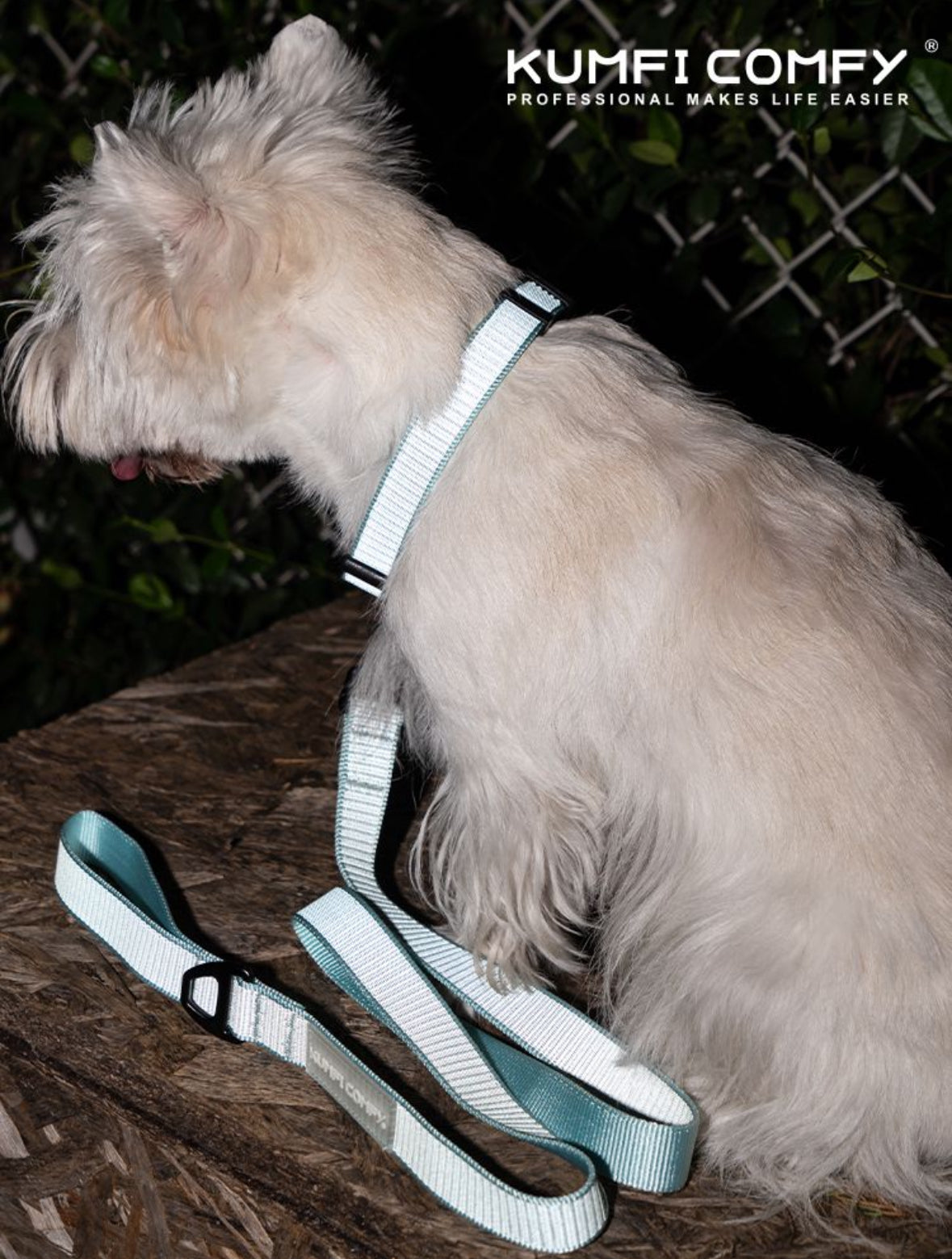 The reflective leash - Mint Blue