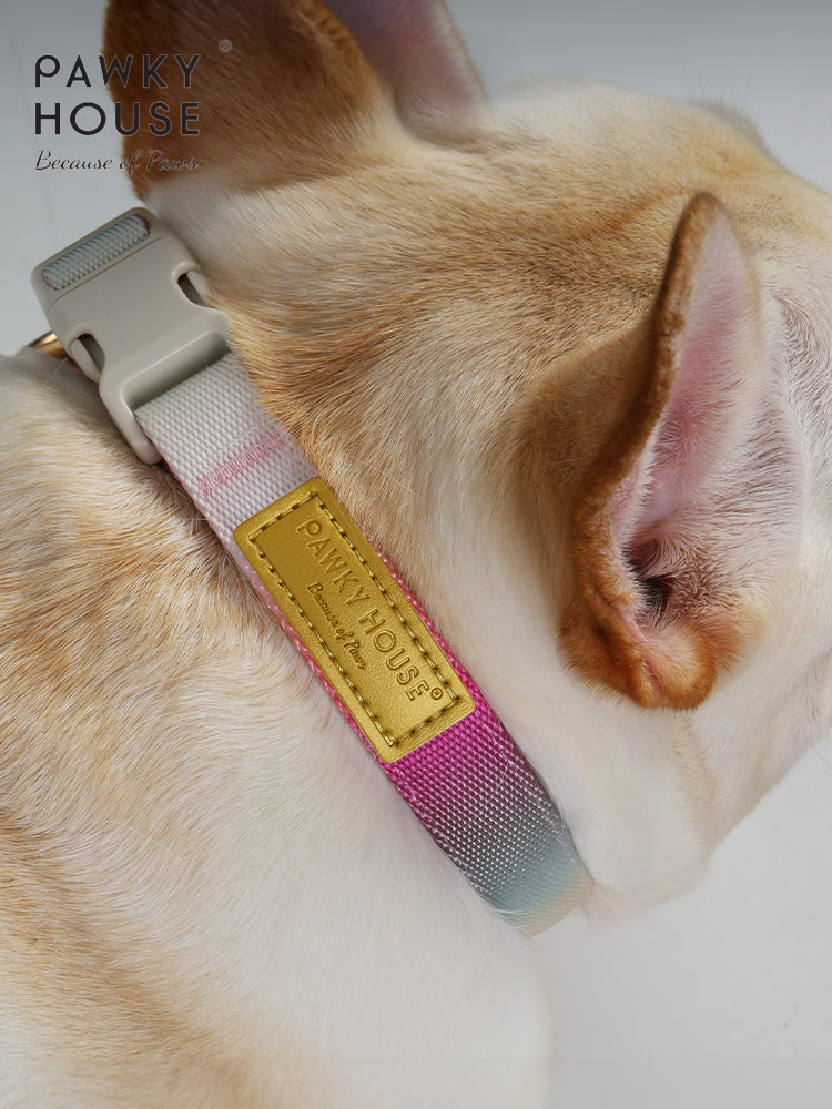 Dog Collar- Cloudy Bay