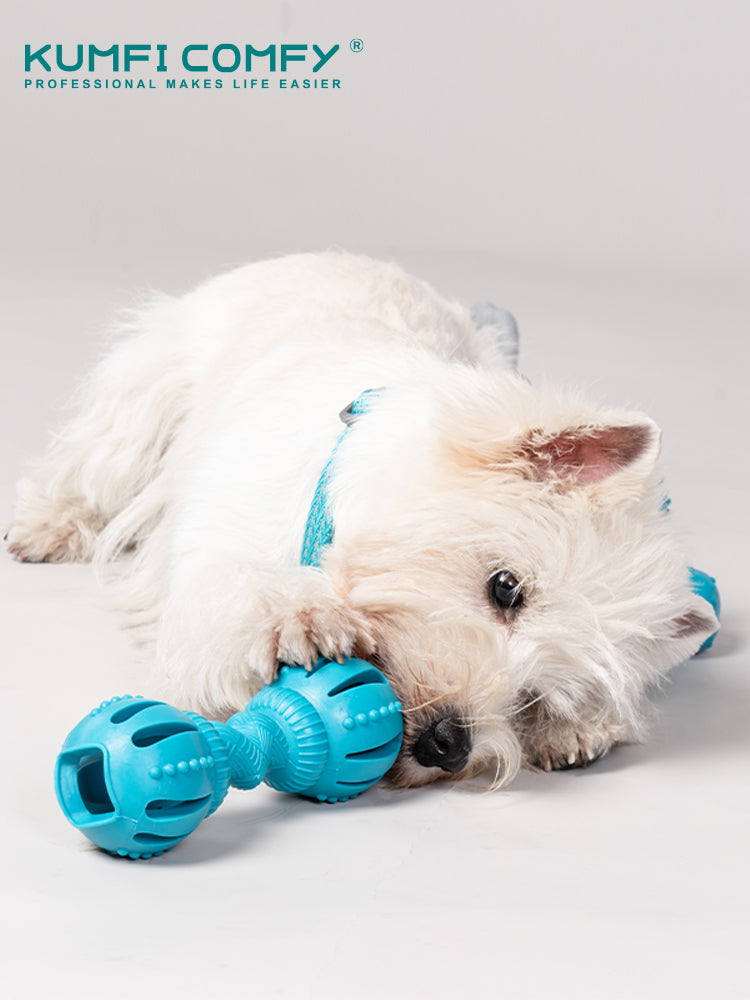 Dog toy - Dumbell